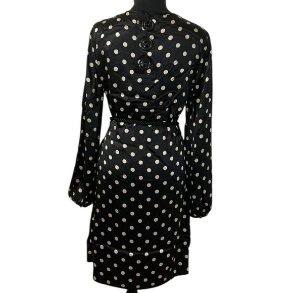 Elizabeth McKay Polka Dot Tie Waist Mini Silk Dress(Size 4) - Picture 2 of 14